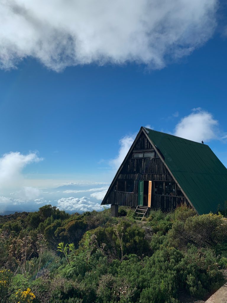 Trekking sul Monte Kilimanjaro