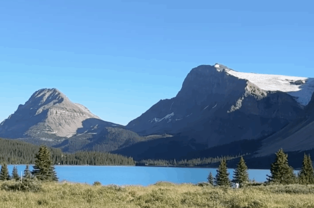 icefields parkway: guida completa alla strada più emozionante del canada