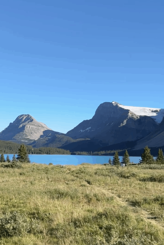 icefields parkway