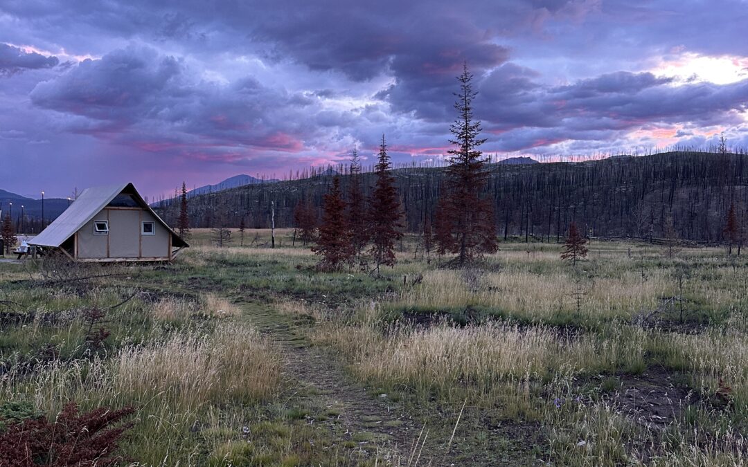 jasper national park: tutto quello che devi sapere sul parco più grande delle rockies canadesi