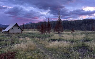 jasper national park: tutto quello che devi sapere sul parco più grande delle rockies canadesi