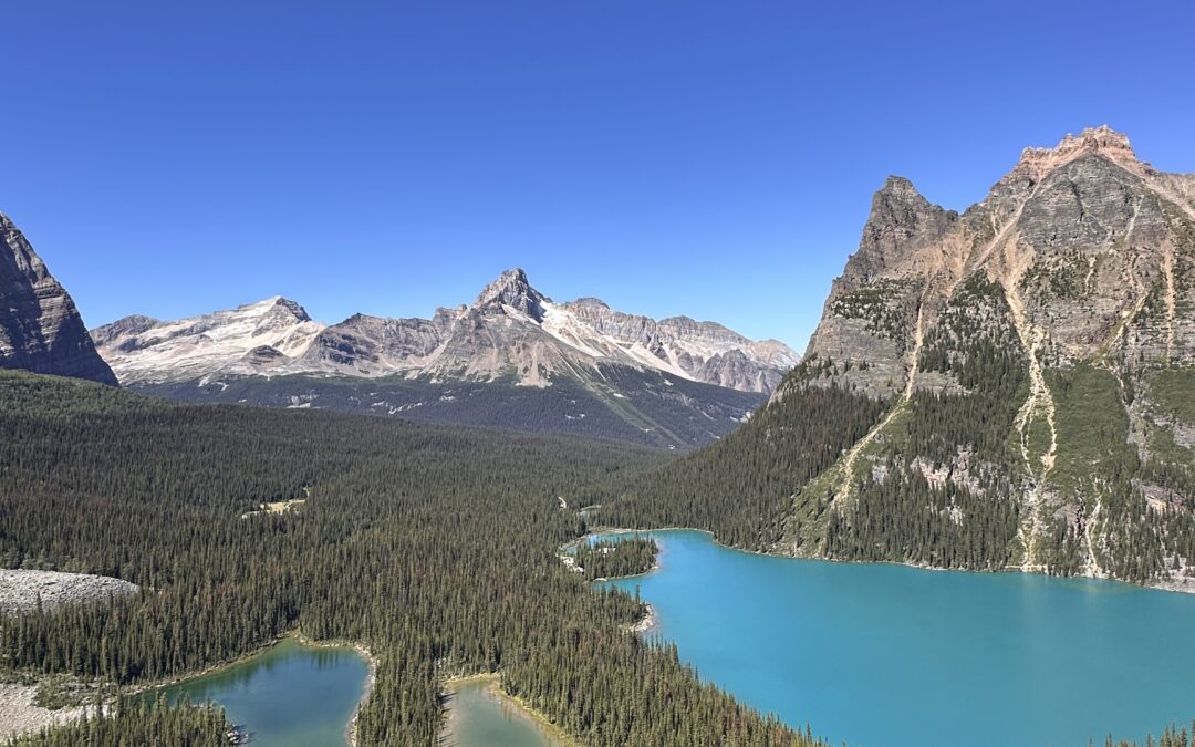 lake o’hara: come visitare il gioiello nascosto dello yoho national park