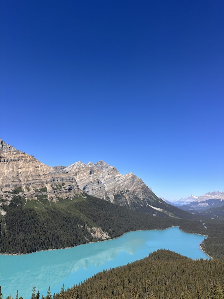 icefields parkway