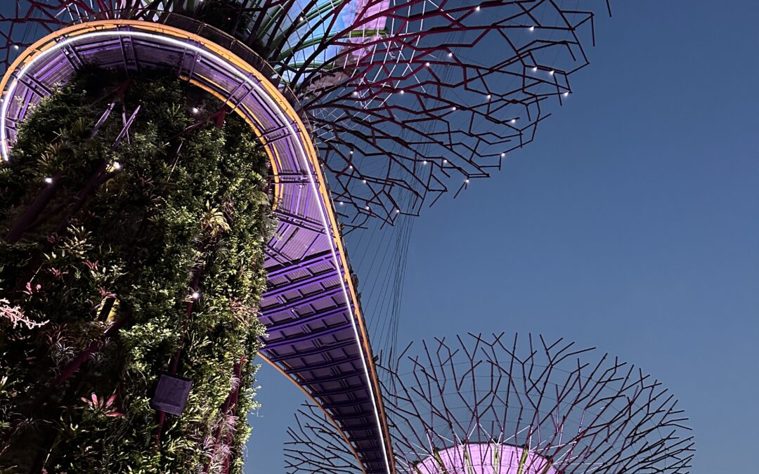 cosa vedere a singapore: i miei consigli