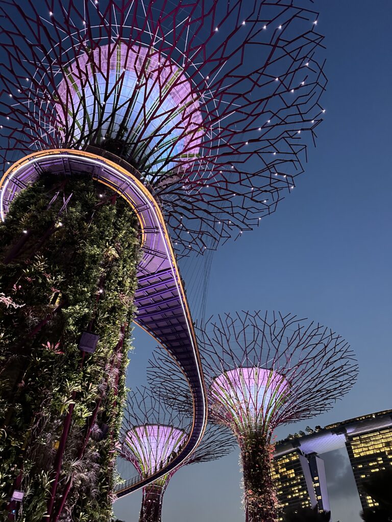singapore cosa vedere