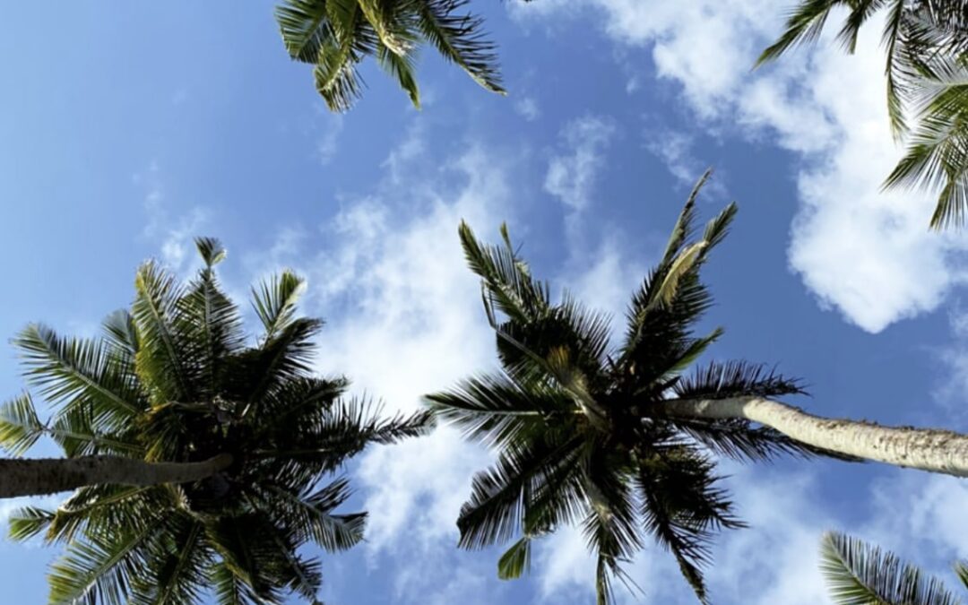 quando andare in sri lanka: periodo migliore, clima e stagioni