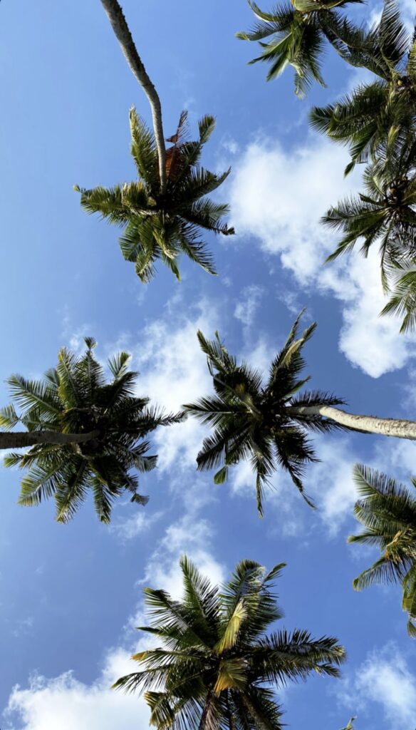 quando andare in Sri Lanka