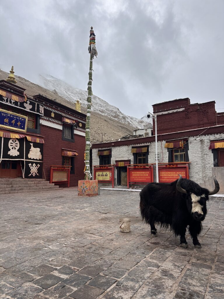 cosa vedere in tibet